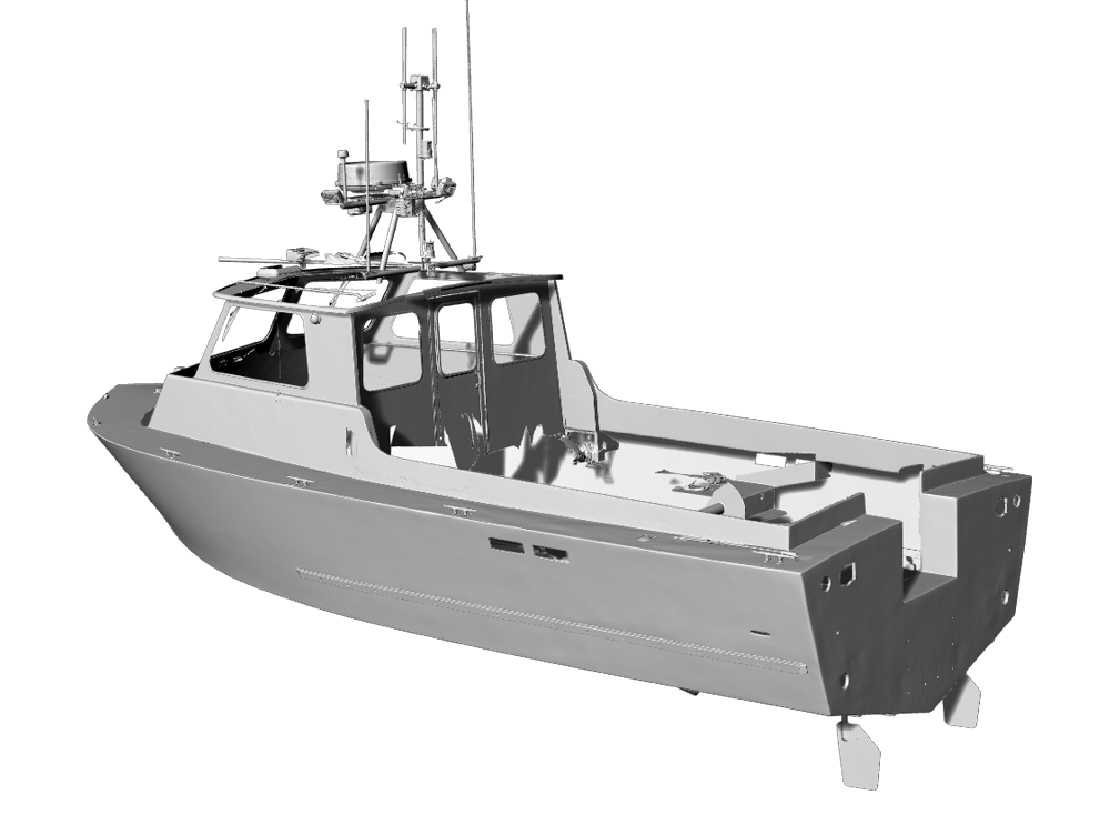 Rendered scan data